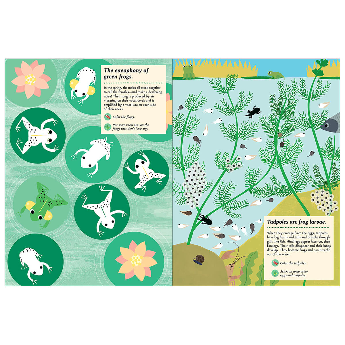 My Nature Sticker Activity Book: Streams and Ponds by Olivia Cosneau