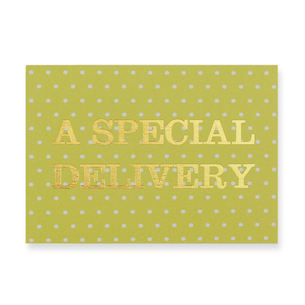 A Special Delivery Greetings Card by Nancy & Betty Studio