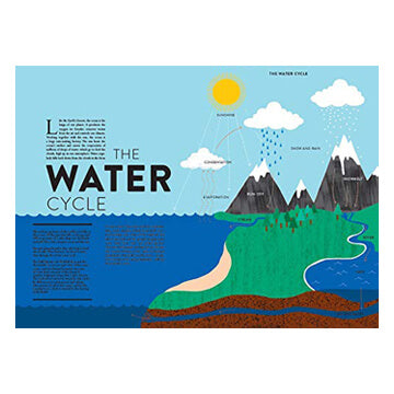 Ocean by Hélène Druvert & Emmanuelle Grundmann