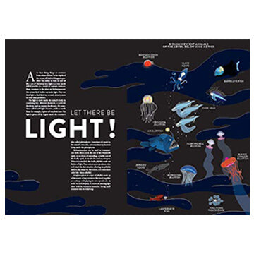 Ocean by Hélène Druvert & Emmanuelle Grundmann