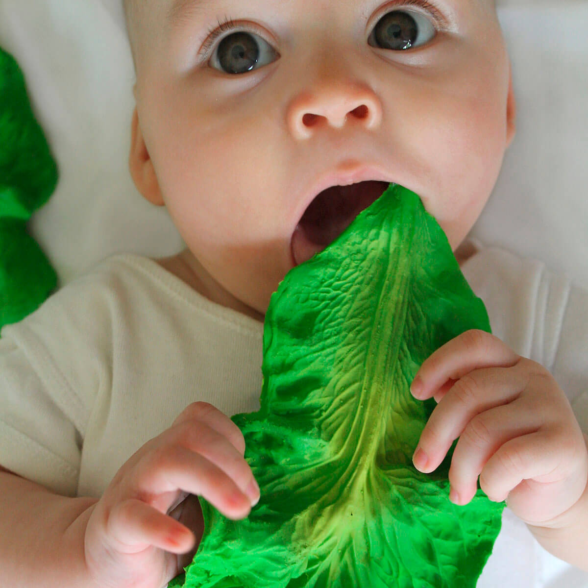 Kendall The Kale Teether by Oli & Carol