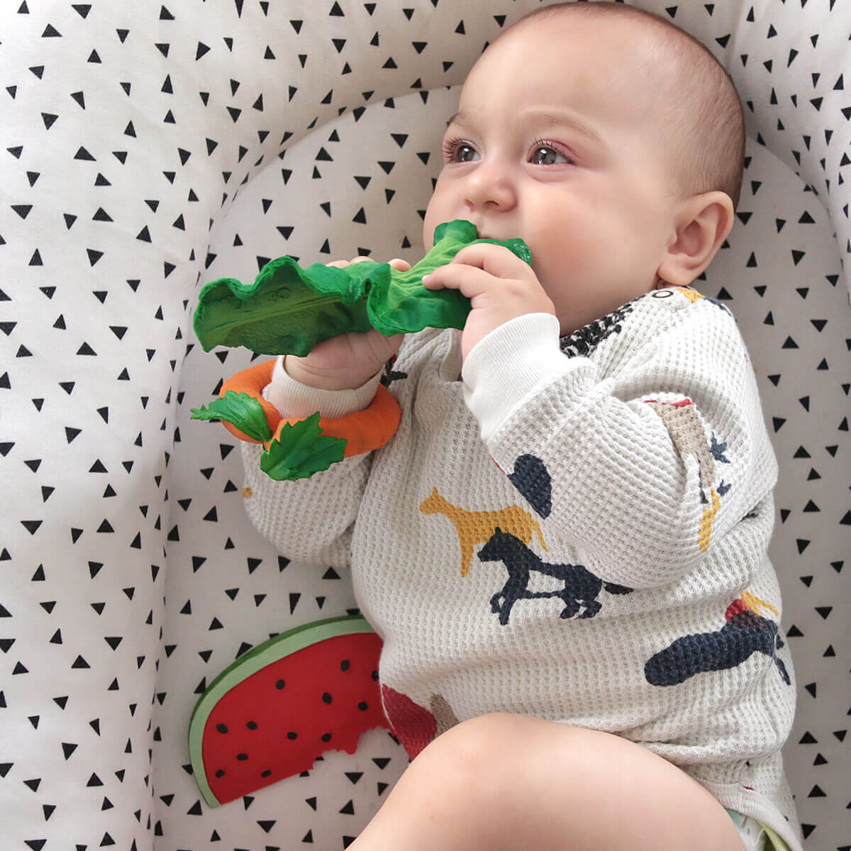Kendall The Kale Teether by Oli & Carol