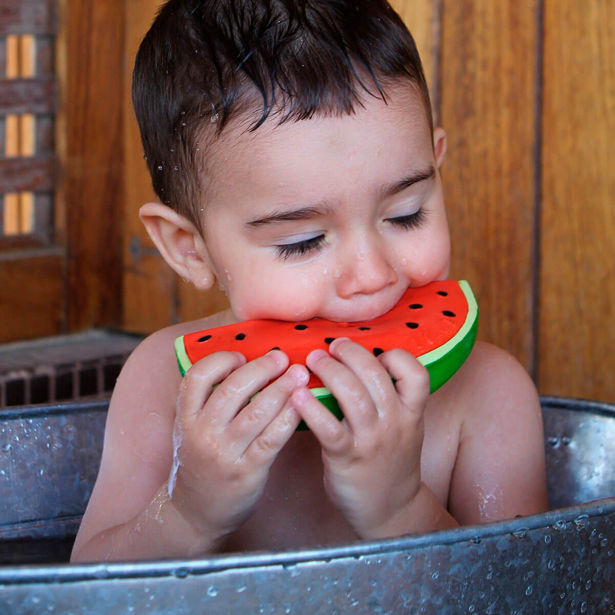 Wally The Watermelon by Oli & Carol