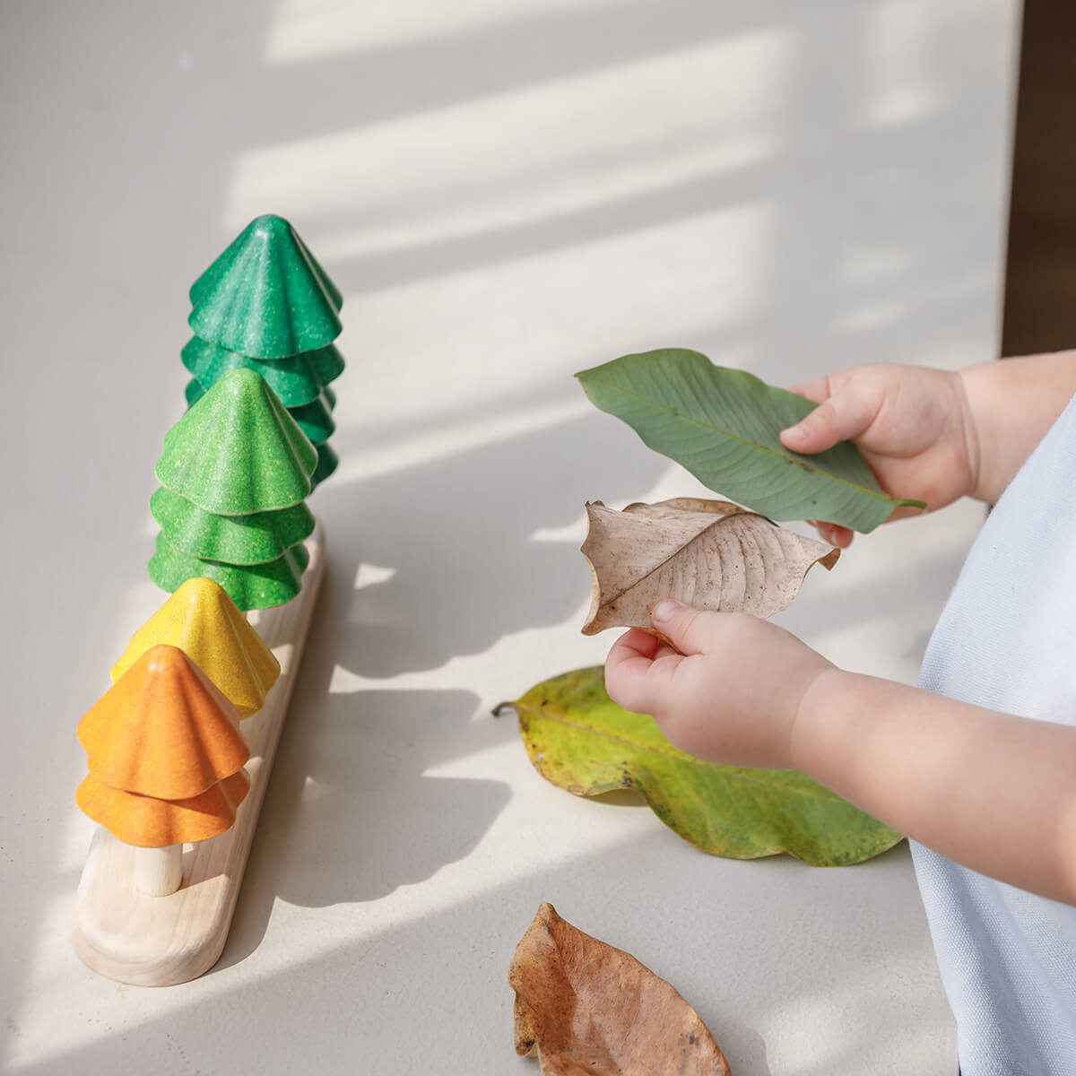 Sort And Count Trees by PlanToys