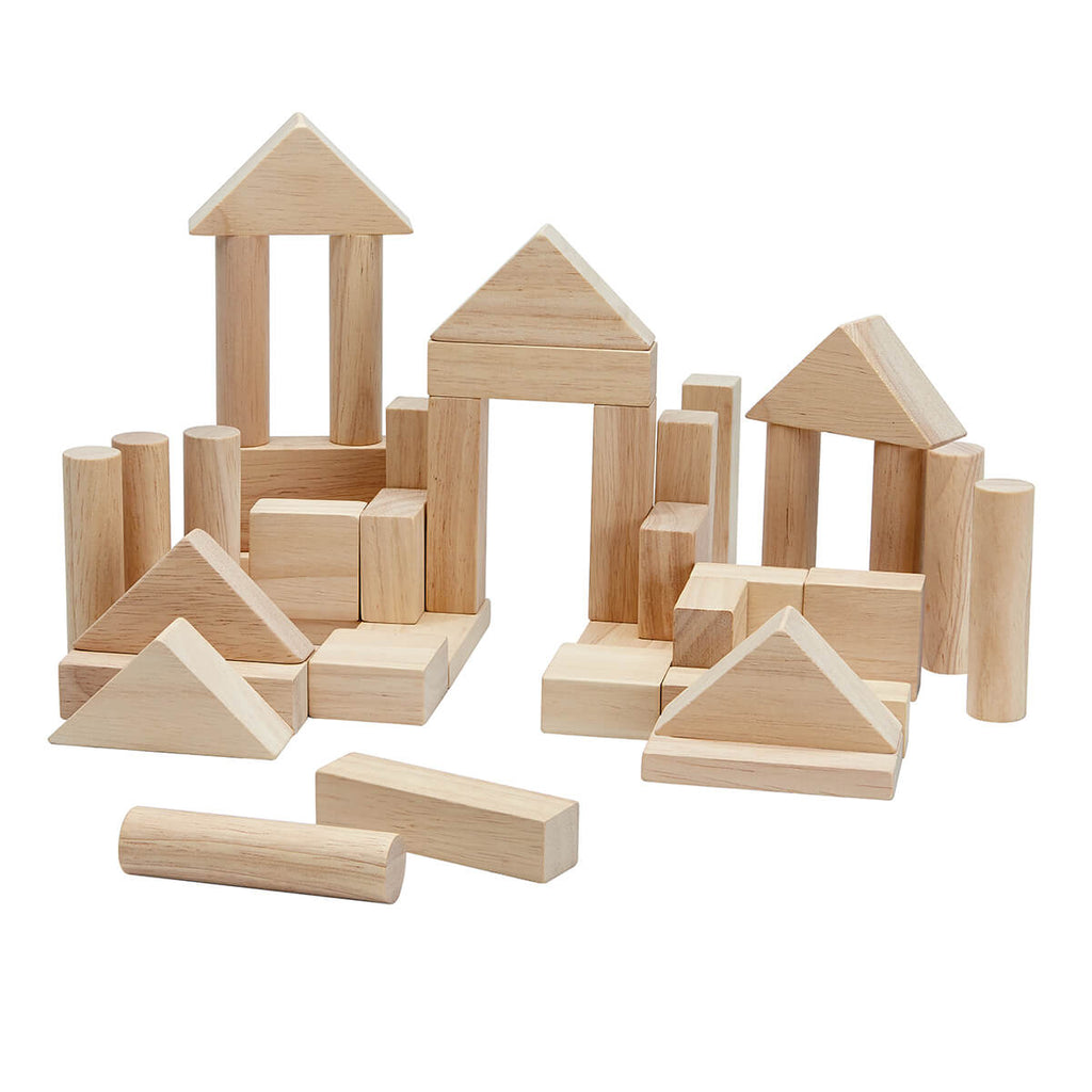 40 Unit Blocks in Natural by PlanToys