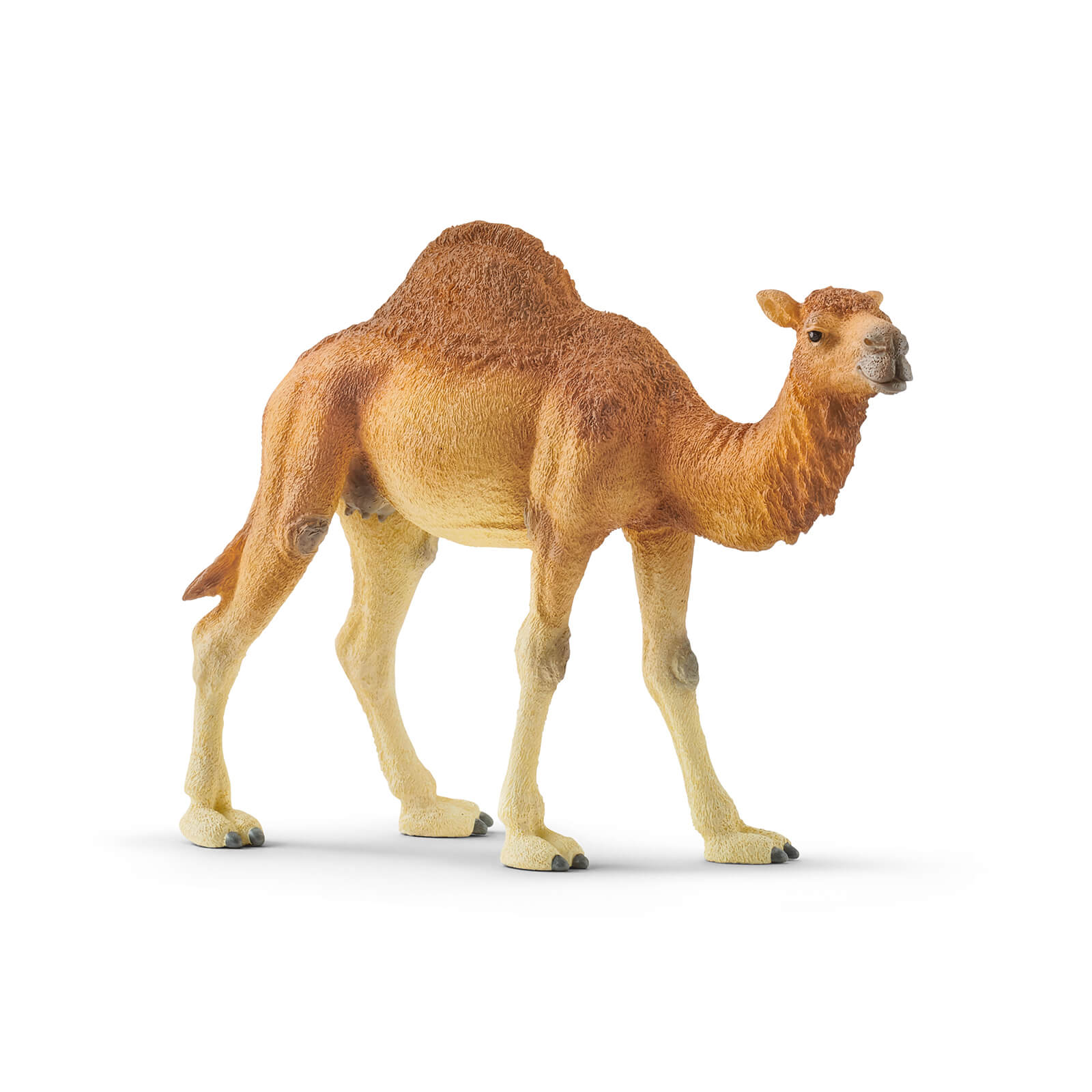 Dromedary by Schleich