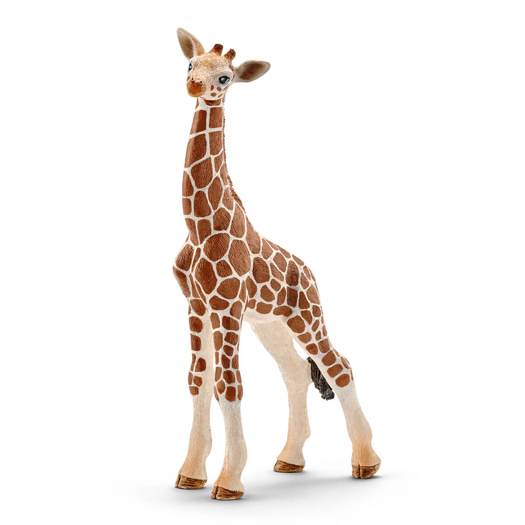 Giraffe Calf by Schleich
