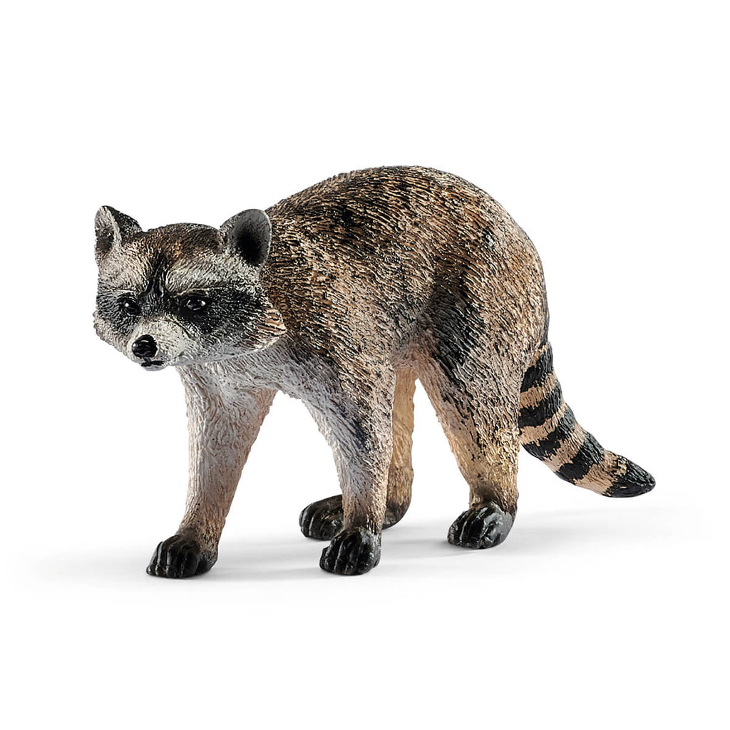 Raccoon by Schleich