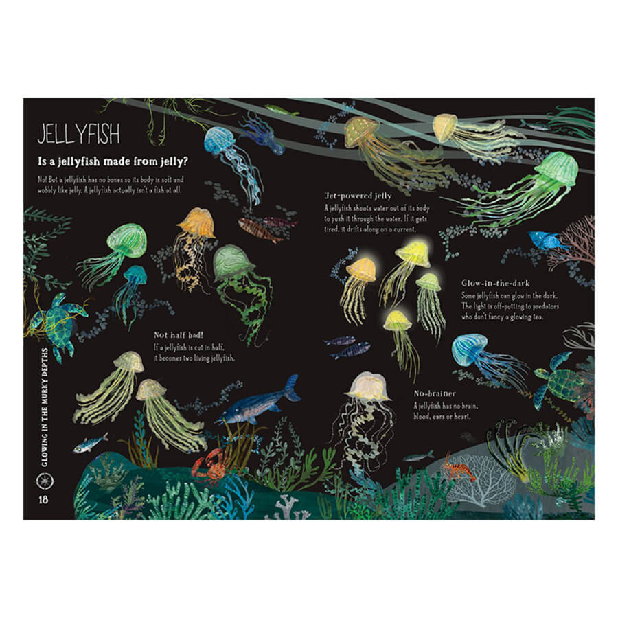 The Big Book of The Blue by Yuval Zommer