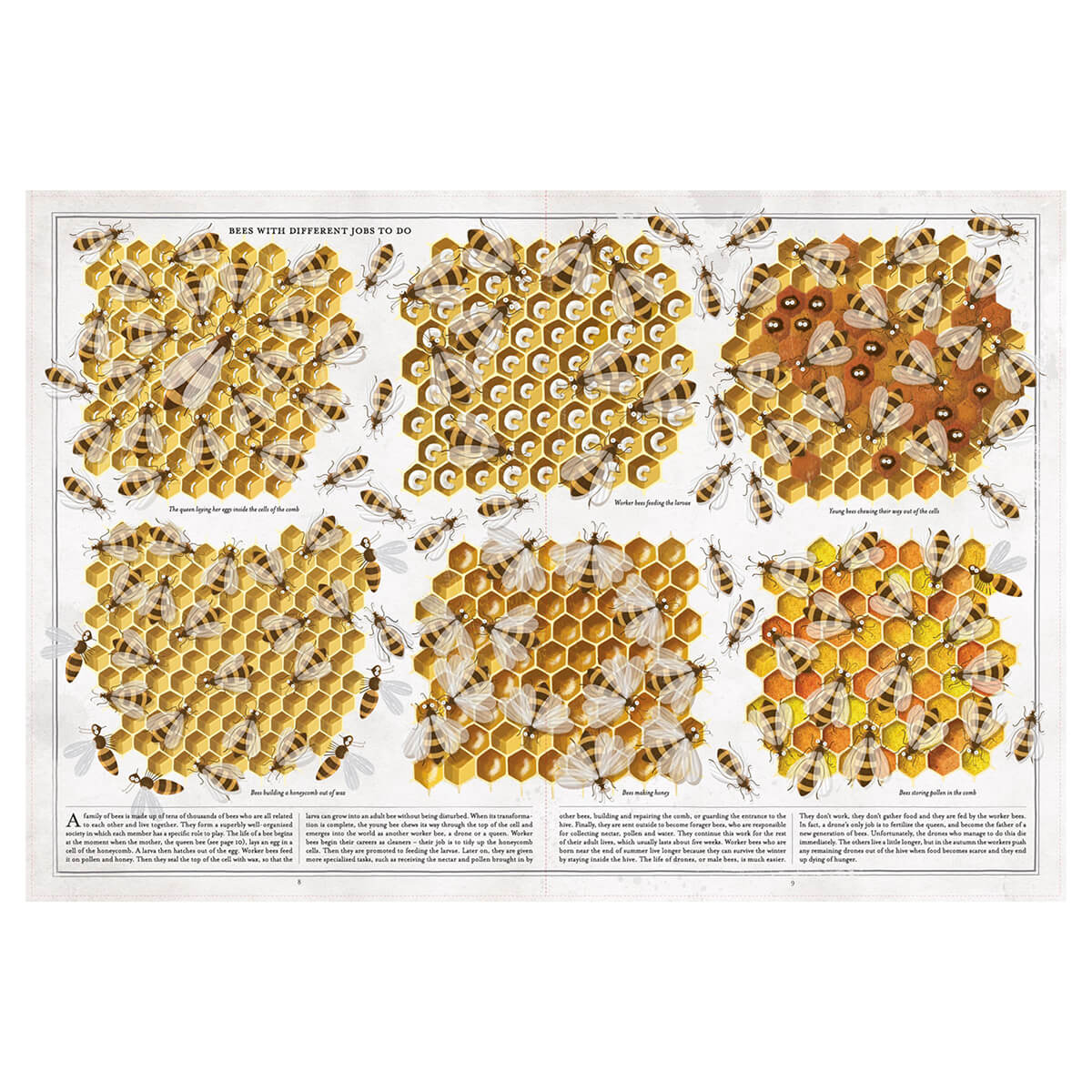 The Book Of Bees by Piotr Socha