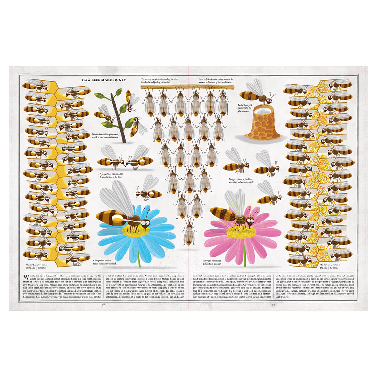 The Book Of Bees by Piotr Socha