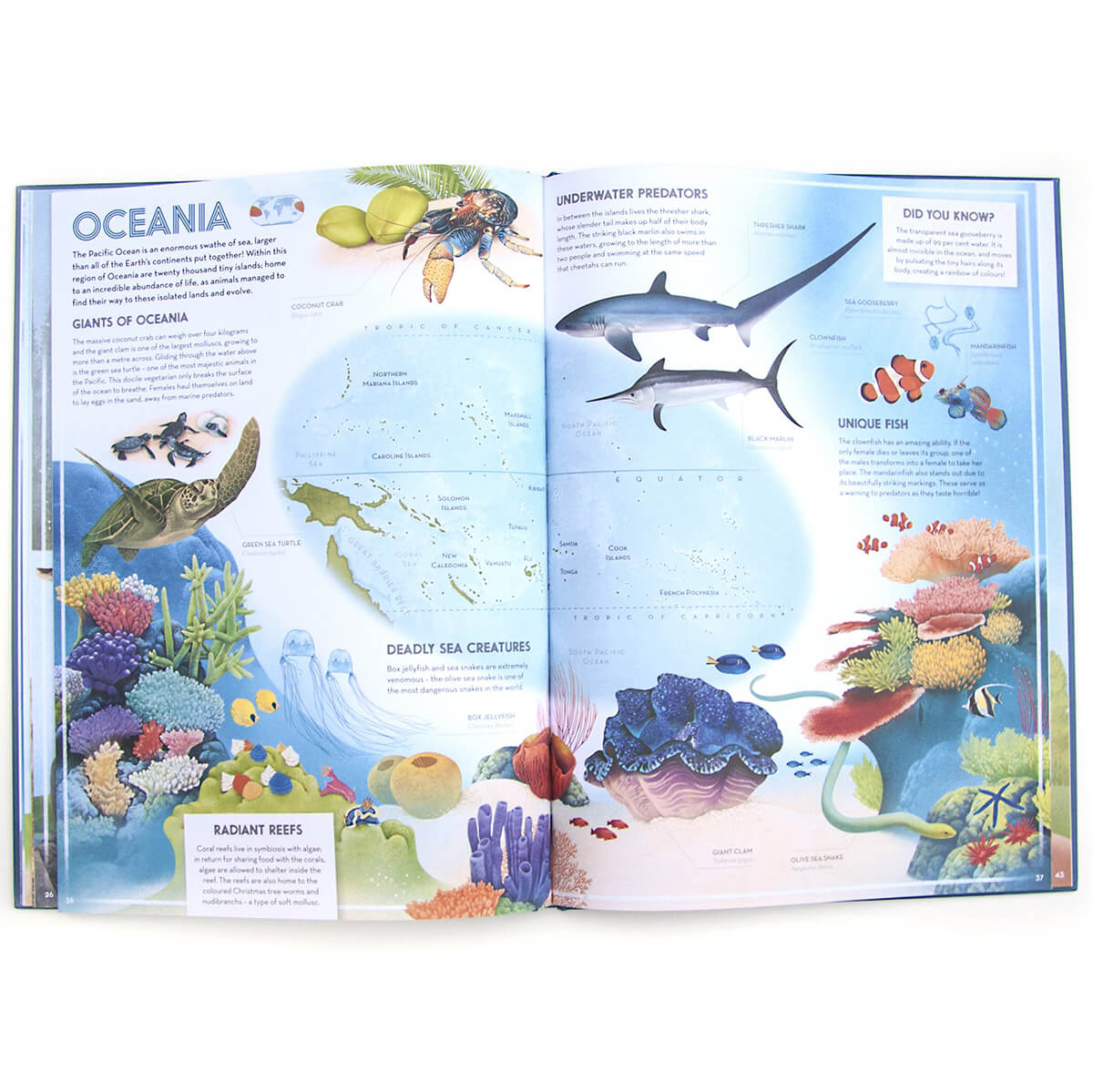 Amazing Animal Atlas by Nick Crumpton & Gaia Bordicchia (Signed Copy)