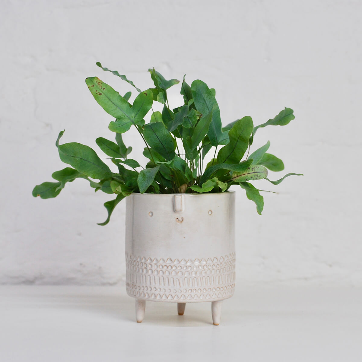 Medium Tripod Planter Pot in White Stamped by Atelier Stella