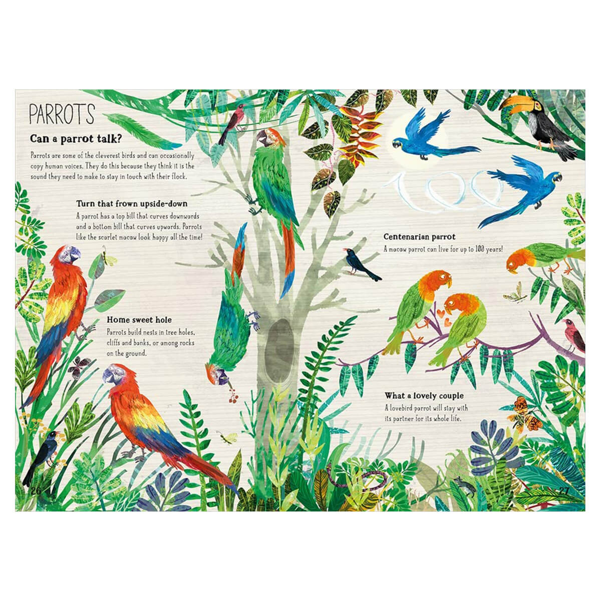 The Big Book of Birds by Yuval Zommer