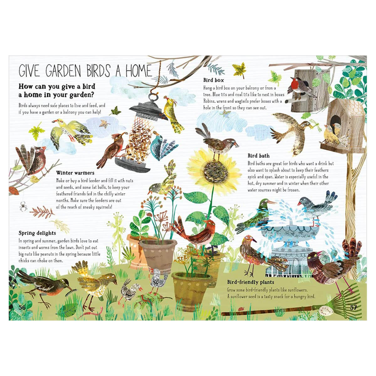 The Big Book of Birds by Yuval Zommer