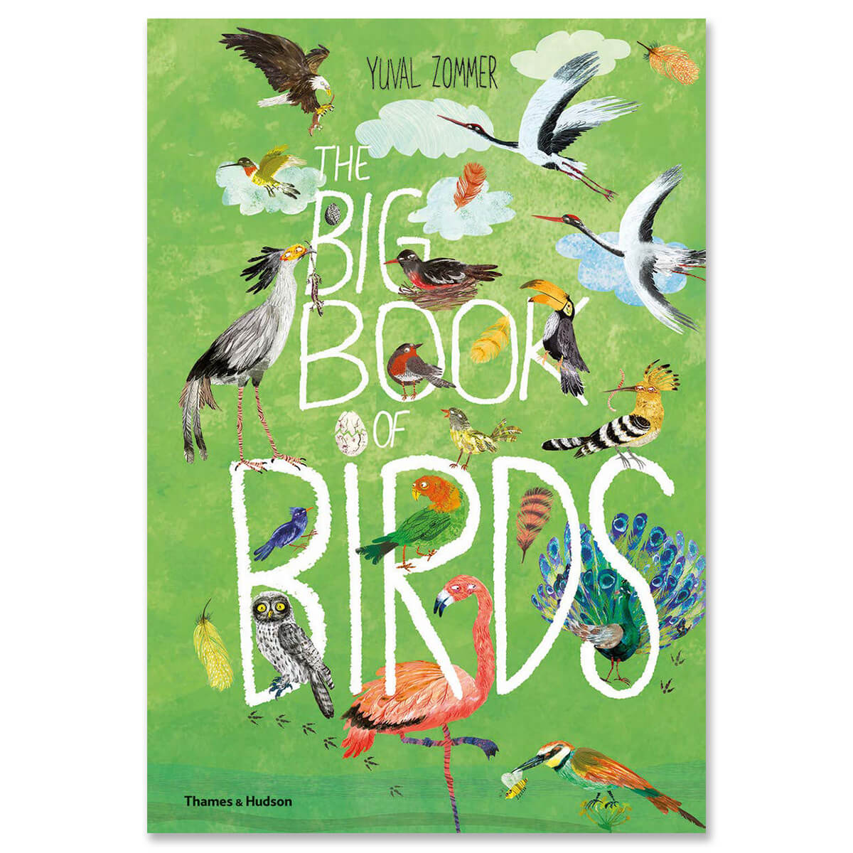 The Big Book of Birds by Yuval Zommer