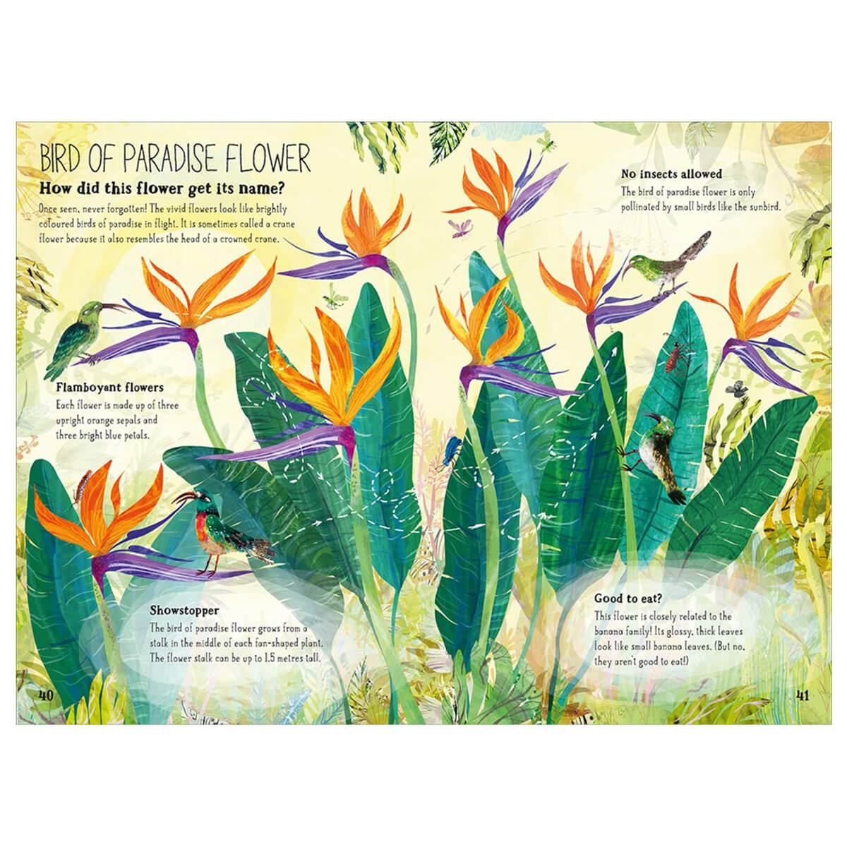 The Big Book of Blooms by Yuval Zommer