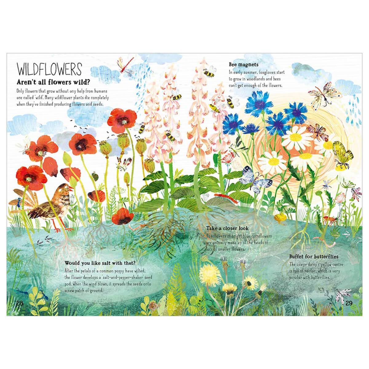 The Big Book of Blooms by Yuval Zommer