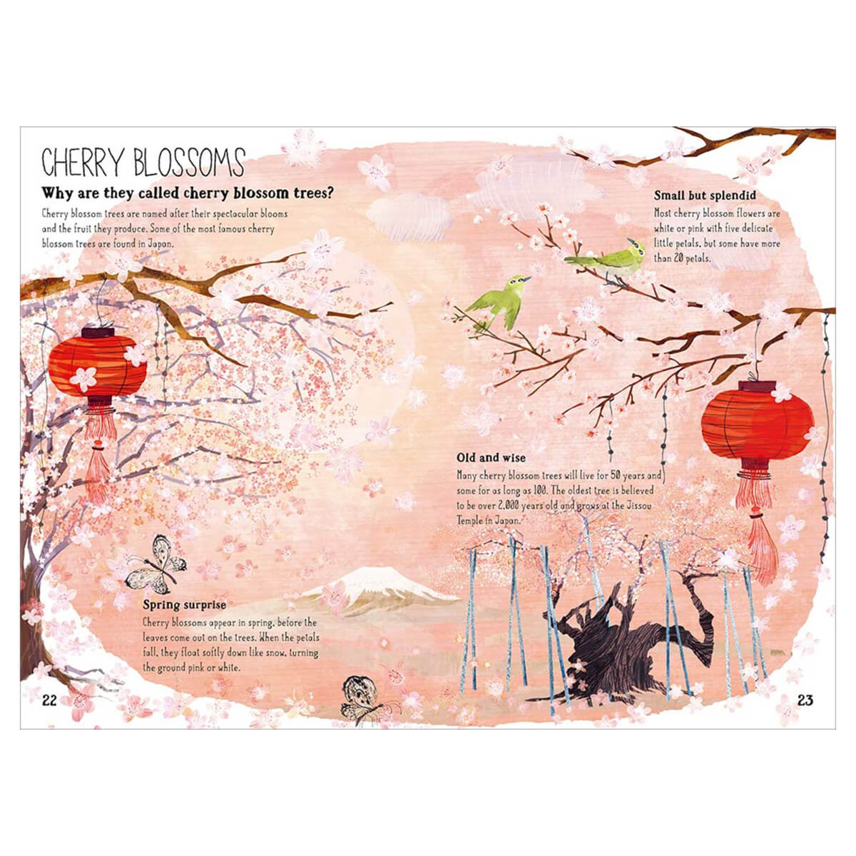 The Big Book of Blooms by Yuval Zommer