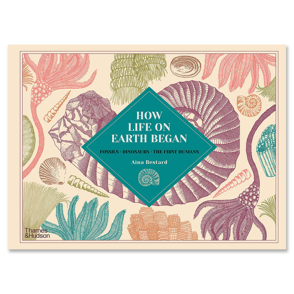 How Life On Earth Began: Fossils, Dinosaurs, The First Humans by Aina Bestard