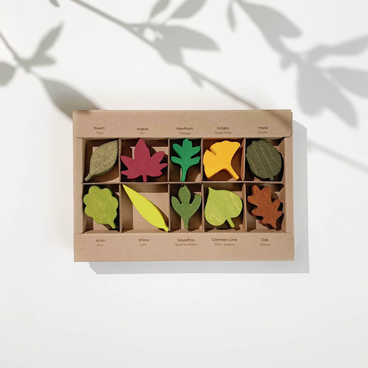 Woodland Leaves by Moon Picnic