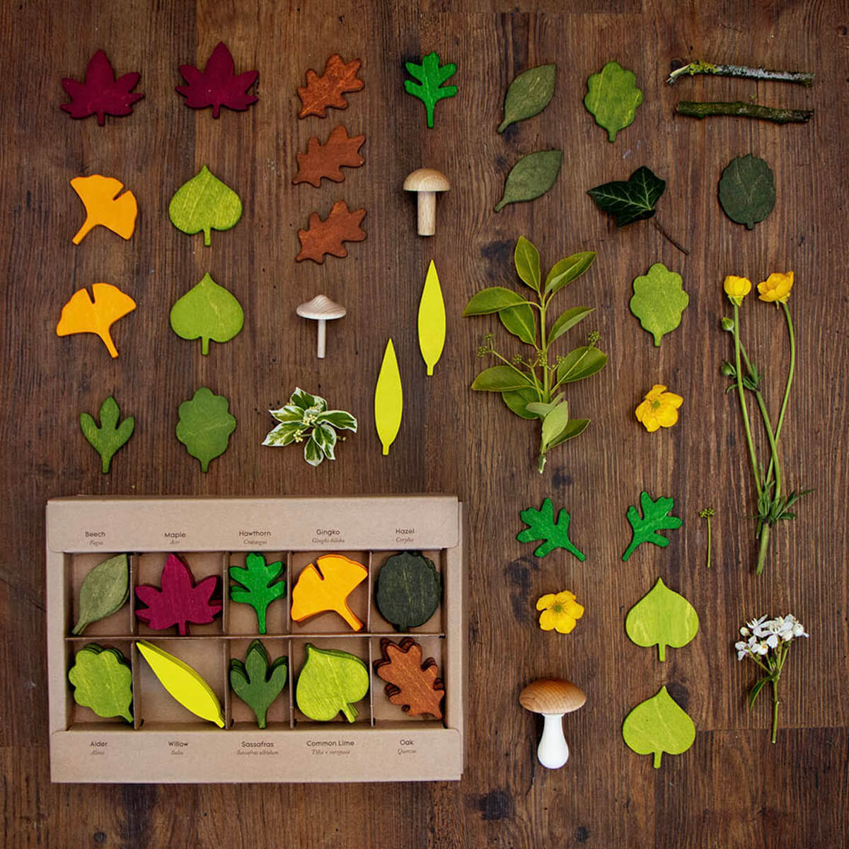 Woodland Leaves by Moon Picnic