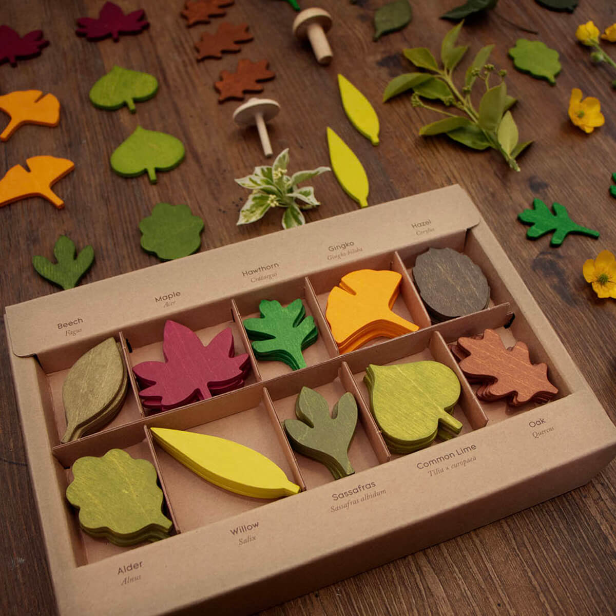 Woodland Leaves by Moon Picnic