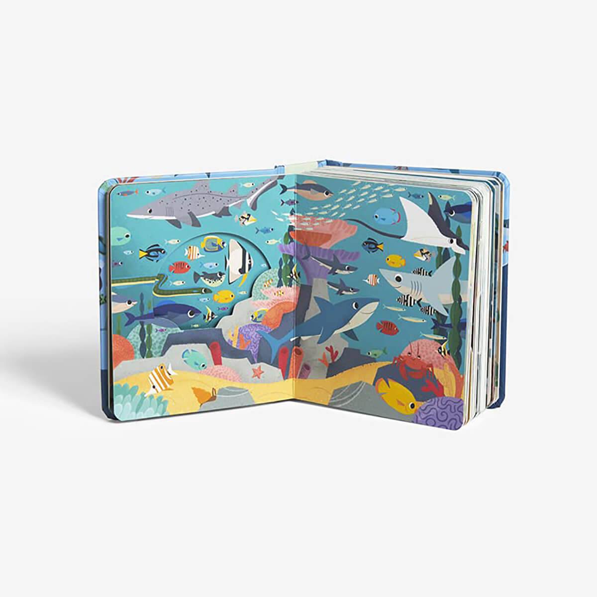 Sharkblock By Christopher Franceschelli & Peskimo