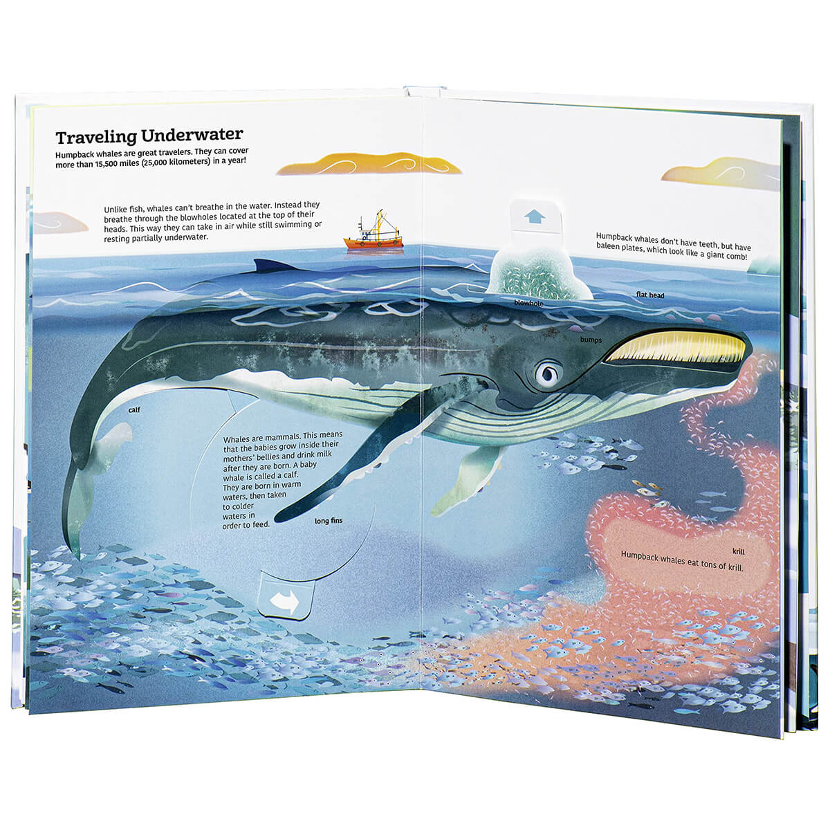 Ultimate Spotlight: Polar Animals by Sandra Laboucarie & da-fanny