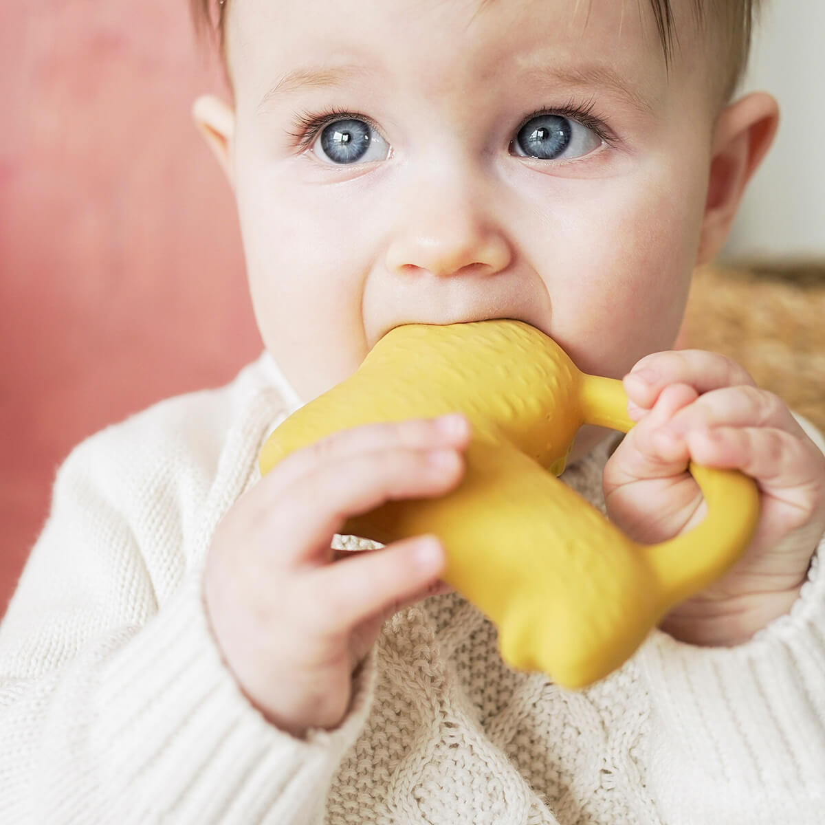Teething & Pacifiers