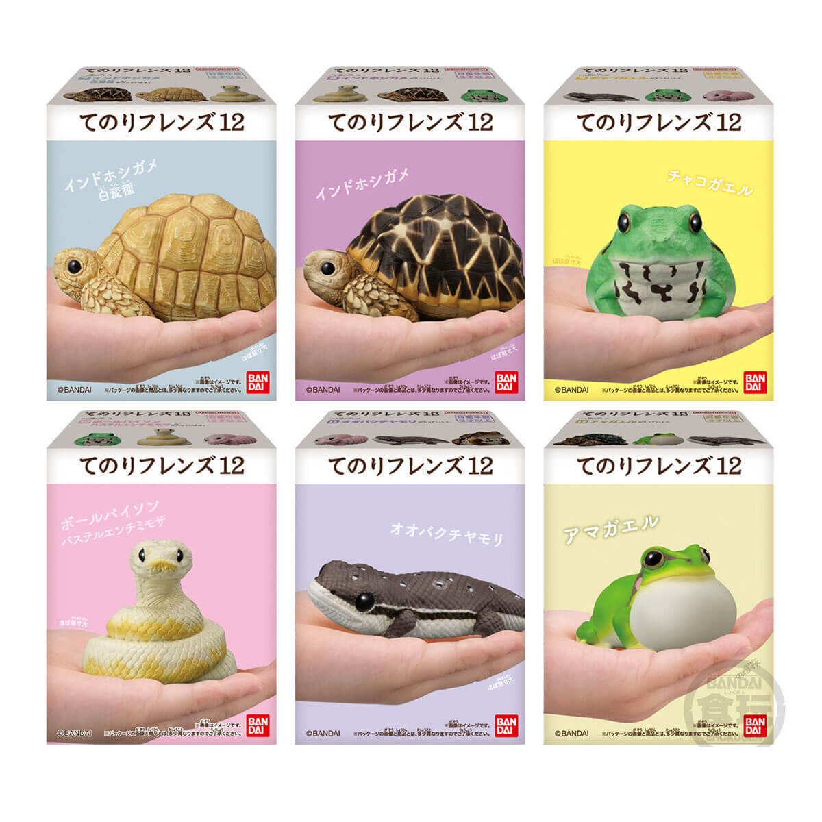 Tenori Friends Reptiles & Amphibians Figure Blind Box by Bandai