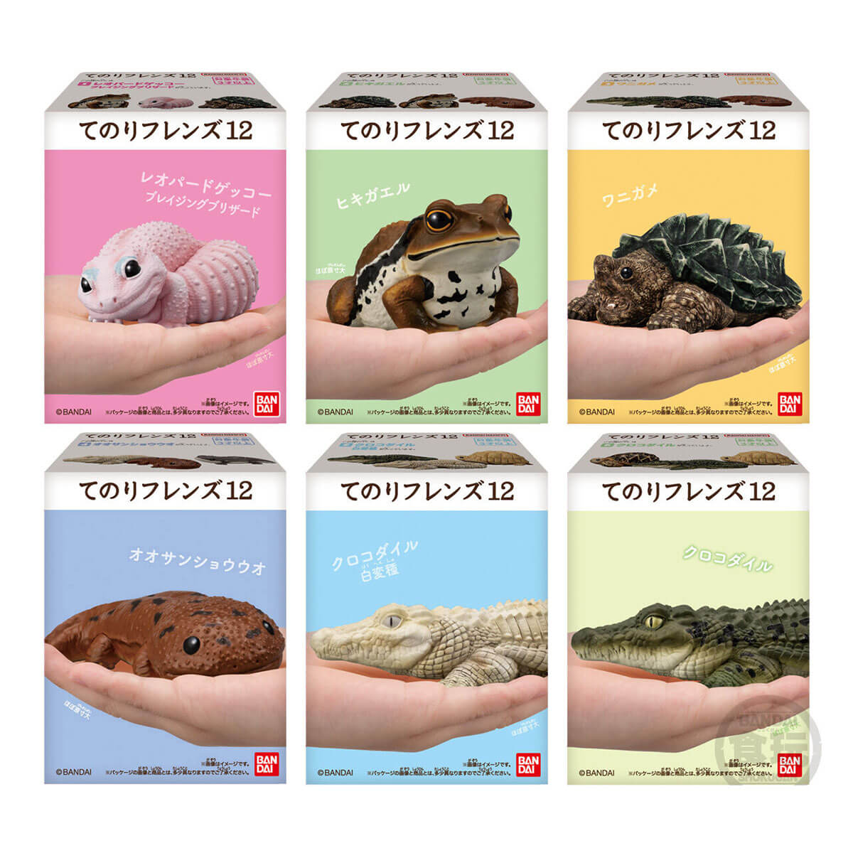 Tenori Friends Reptiles & Amphibians Figure Blind Box by Bandai