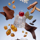 Insight Jelly Candle by Bodi Candle