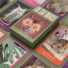 The Cat Oracle: 33 Card Deck & Guidebook by Broccoli Publishing