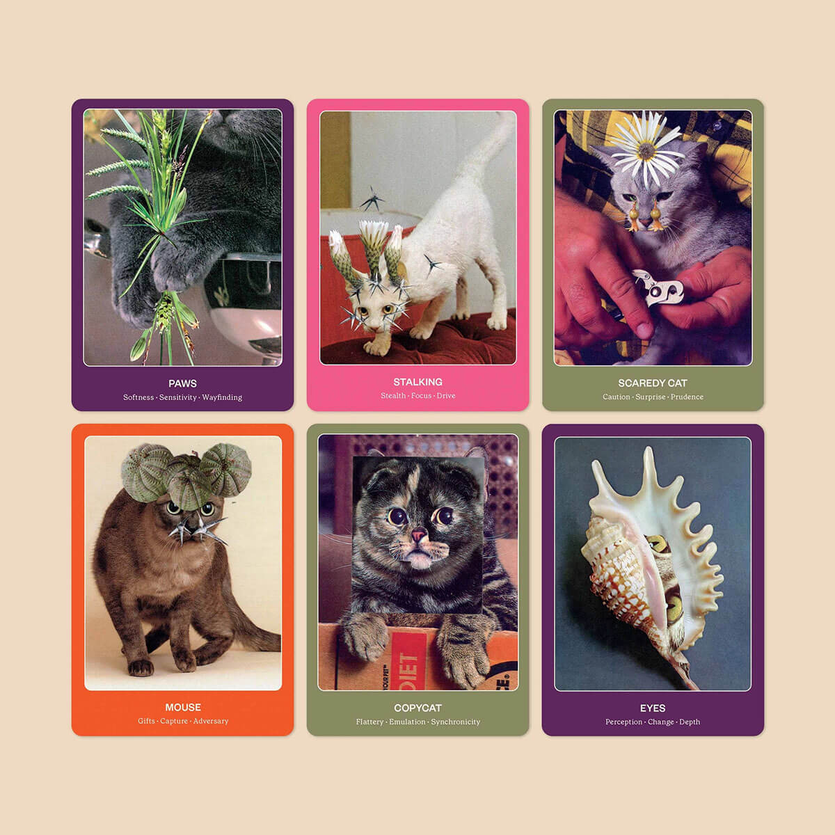 The Cat Oracle: 33 Card Deck & Guidebook by Broccoli Publishing