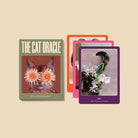 The Cat Oracle: 33 Card Deck & Guidebook by Broccoli Publishing