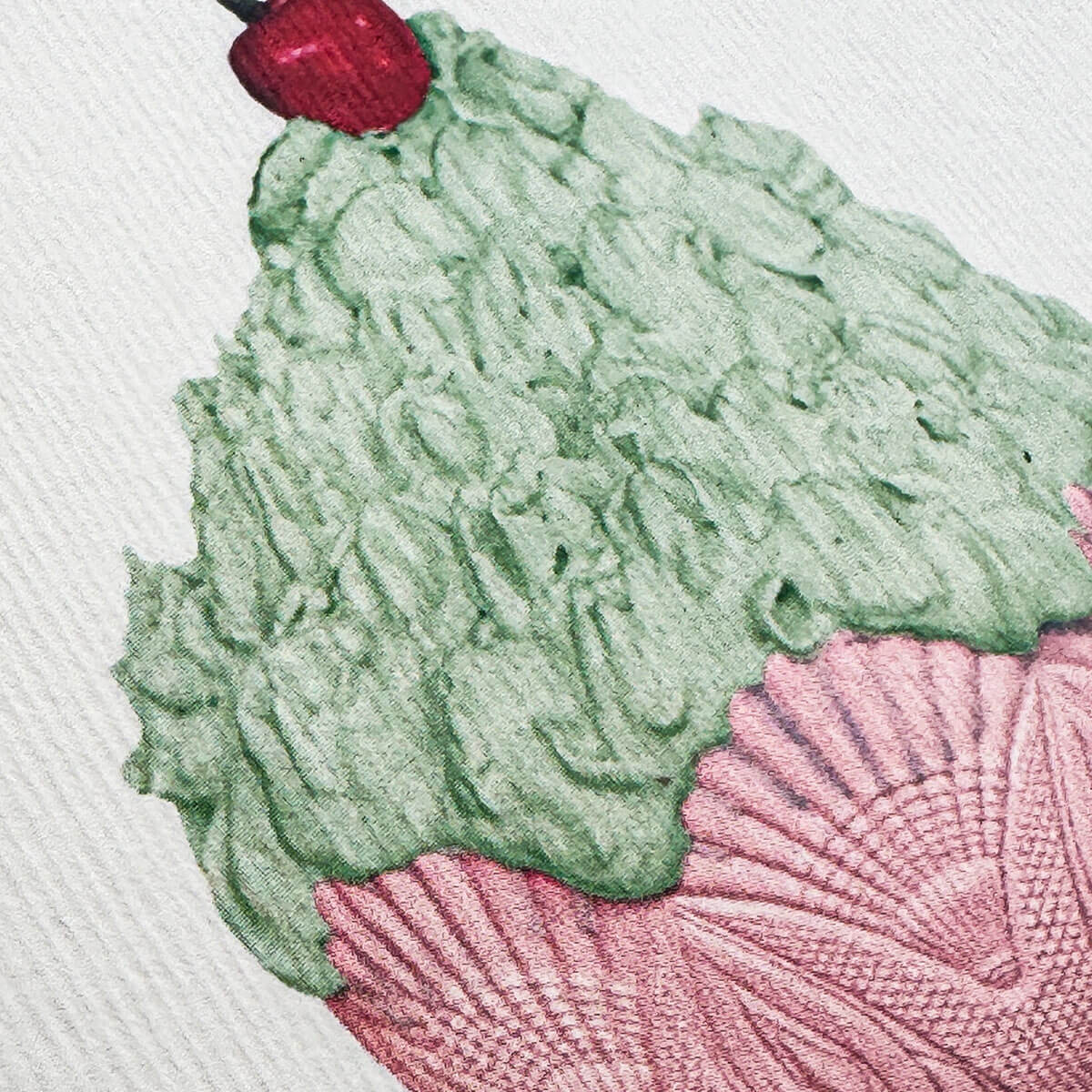 Pistachio Chantilly Cream Greetings Card by Canonbury Press