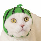 Cat Cap Fruit Blind Box by Kitan Club