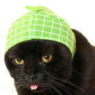 Cat Cap Fruit Blind Box by Kitan Club