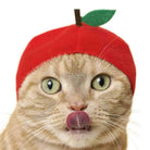 Cat Cap Fruit Blind Box by Kitan Club