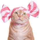 Cat Cap Candy Blind Box by Kitan Club