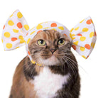 Cat Cap Candy Blind Box by Kitan Club