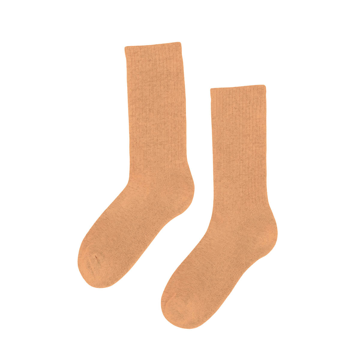 Active Socks in Sandstone Orange by Colorful Standard