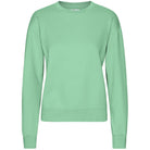Classic Crew in Faded Mint by Colorful Standard