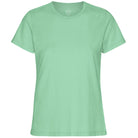 Light Tee in Faded Mint by Colorful Standard