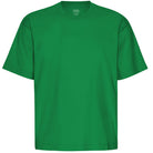 Oversized T-Shirt in Kelly Green by Colorful Standard