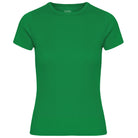 Rib Short Sleeve Tee in Kelly Green by Colorful Standard