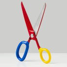 Chroma Scissors in Primary by Craighill