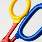 Chroma Scissors in Primary by Craighill