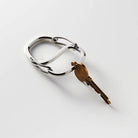 Coachwhip Carabiner in Stainless Steel by Craighill